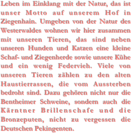 Leben im Einklang mit der Natur, das ist unser Motto auf unserem Hof in Ziegenhain. Umgeben von der Natur des Westerwaldes wohnen wir hier zusammen mit unseren Tieren, das sind neben unseren Hunden und Katzen eine kleine Schaf- und Ziegenherde sowie unsere Kühe und ein wenig Federvieh. Viele von unseren Tieren zählen zu den alten Haustierrassen, die vom Aussterben bedroht sind. Dazu gehören nicht nur die Bentheimer Schweine, sondern auch die Kärntner Brillenschafe und die Bronzeputen, nicht zu vergessen die Deutschen Pekingenten.