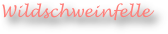 Wildschweinfelle